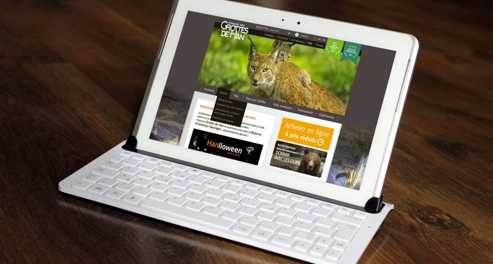 Domaine des Grottes de Han